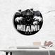 Wall Vinyl Record Clock Miami 12" 30-1-1 photo 2