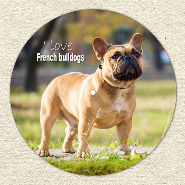 Vinyl Record Decor French Bulldogs 12" UF-Decor-French Bulldogs-2 photo