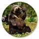 Wall Vinyl Record Clock BEAR 12" 73-2-1 photo 1