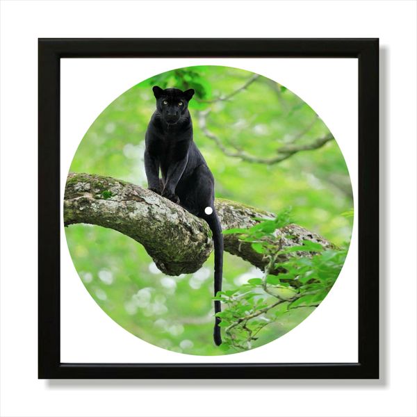 Vinyl Record Decor in a Wooden Frame Panther 14" UF-Frame-Panther-1 photo