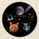 Vinyl Record Decor Cats 12" UF-Decor-Cats-3 photo 3