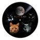 Vinyl Record Decor Cats 12" UF-Decor-Cats-3 photo 1