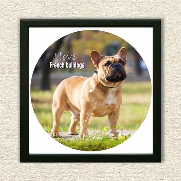 Vinyl Record Decor in a Wooden Frame French Bulldogs 14" UF-Frame-French Bulldogs-2 photo