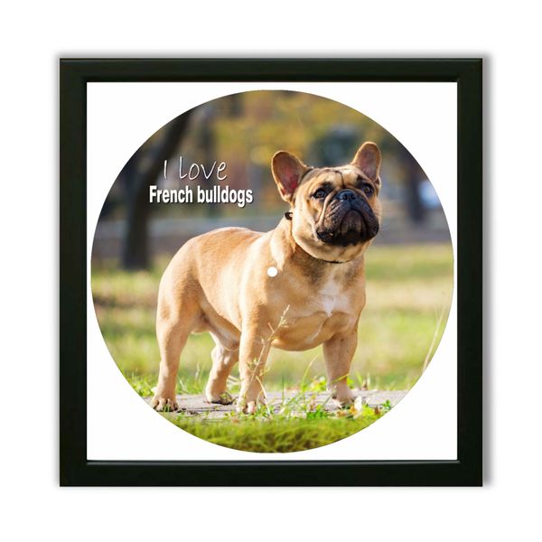 Vinyl Record Decor in a Wooden Frame French Bulldogs 14" UF-Frame-French Bulldogs-2 photo