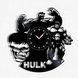 Wall Vinyl Record Clock Hulk 12" Vinyl-Clock-Hulk-4 photo