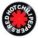 Vinyl Record Decor Red Hot Chili Peppers 12" 572-3-1 photo 1