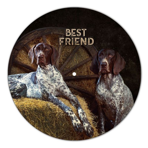 Vinyl Record Decor German Pointer 12" UF-Decor-German Pointer-1 photo