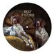 Vinyl Record Decor German Pointer 12" UF-Decor-German Pointer-1 photo 1