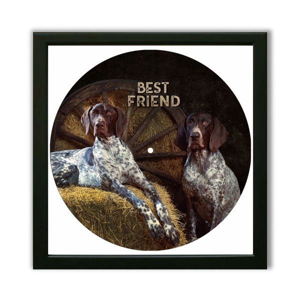 Vinyl Record Decor in a Wooden Frame German Pointer 14" UF-Frame-German Pointer-1 photo