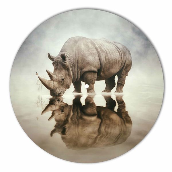 Vinyl Record Decor Rhino 12" UF-Decor-Rhino-2 photo