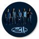Vinyl Record Decor 311 band 12" 501-3-1 photo 1
