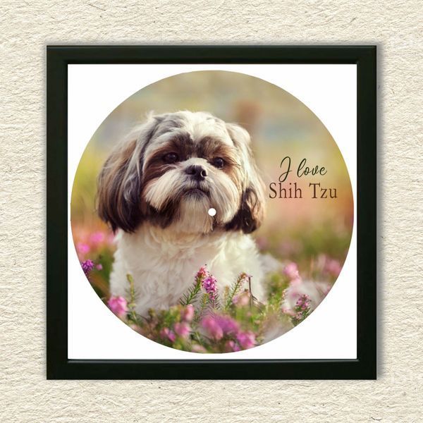 Vinyl Record Decor in a Wooden Frame Shih Tzu-UF-1 14" 59-4-1 photo