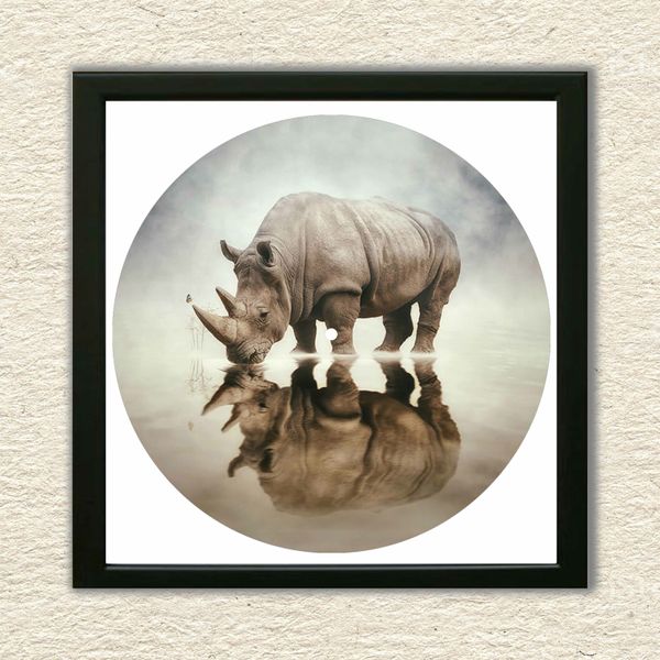 Vinyl Record Decor in a Wooden Frame Rhino 14" UF-Frame-Rhino-2 photo