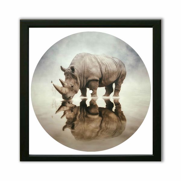 Vinyl Record Decor in a Wooden Frame Rhino 14" UF-Frame-Rhino-2 photo