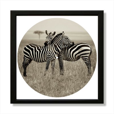 Vinyl Record Decor in a Wooden Frame Zebra 14" UF-Frame-Zebra-1 photo