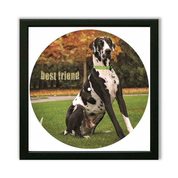 Vinyl Record Decor in a Wooden Frame Great Danes 14" UF-Frame-Great Danes-1 photo