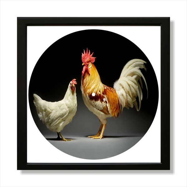 Vinyl Record Decor in a Wooden Frame Chickens 14" UF-Frame-Chickens-1 photo