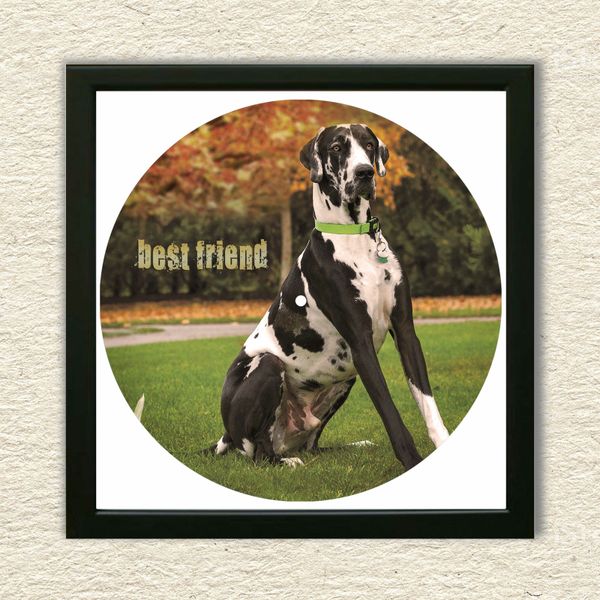 Vinyl Record Decor in a Wooden Frame Great Danes 14" UF-Frame-Great Danes-1 photo