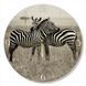 Wall Vinyl Record Clock Zebra 12" 86-2-1 photo 1
