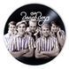 Vinyl Record Decor The Beach Boys 12" 579-3-1 photo 1