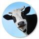 Vinyl Record Decor Cow 12" 75-3-1 photo 1