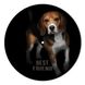 Vinyl Record Decor Beagles 12" UF-Decor-Beagles-1 photo 1