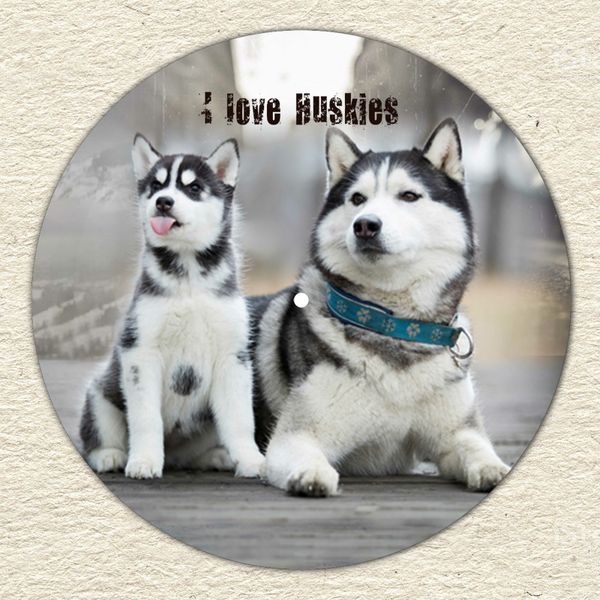 Vinyl Record Decor Husky 12" UF-Decor-Husky-1 photo