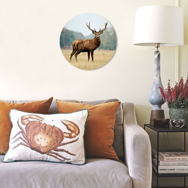 Vinyl Record Decor Deer 12" 76-3-1 photo