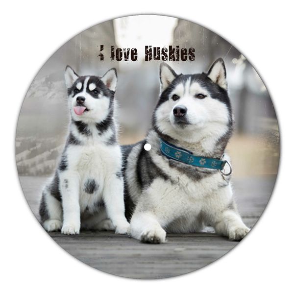 Vinyl Record Decor Husky 12" UF-Decor-Husky-1 photo