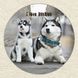 Vinyl Record Decor Husky 12" UF-Decor-Husky-1 photo 3