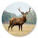 Vinyl Record Decor Deer 12" 76-3-1 photo 1