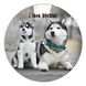 Vinyl Record Decor Husky 12" UF-Decor-Husky-1 photo 1