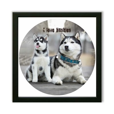 Vinyl Record Decor in a Wooden Frame Husky 14" UF-Frame-Husky-1 photo