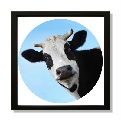 Vinyl Record Decor in a Wooden Frame Cow 14" UF-Frame-Cow-1 photo