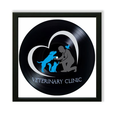 Vinyl Record Decor in a Wooden Frame Veterinary Clinic 14" UF-Frame-Veterinary Clinic-1 photo