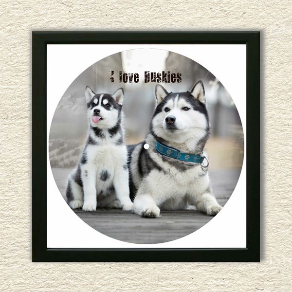 Vinyl Record Decor in a Wooden Frame Husky 14" UF-Frame-Husky-1 photo