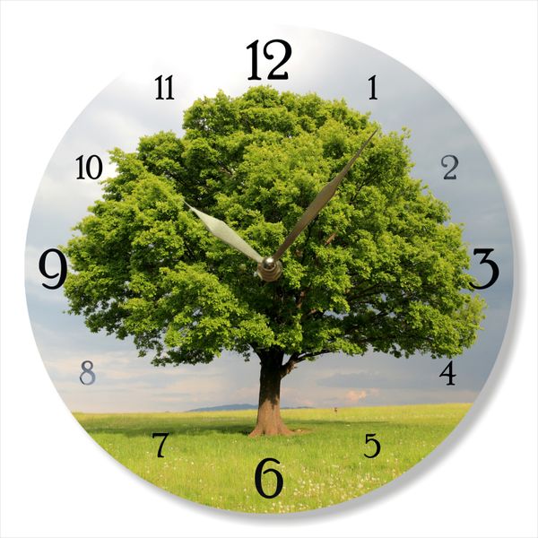 Wall Vinyl Record Clock Tree 12" UF-Clock-Tree-1 photo