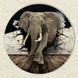 Vinyl Record Decor Elephant 12" 77-3-1 photo 3