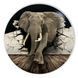 Vinyl Record Decor Elephant 12" 77-3-1 photo 1