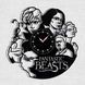 Wall Vinyl Record Clock Fantastic Beasts 12" Vinyl-Clock-M-Fantastic Beasts-5 photo