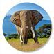Vinyl Record Decor Elephant 12" 77-3-2 photo